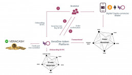 Summary schema of how the VeraOne platform works