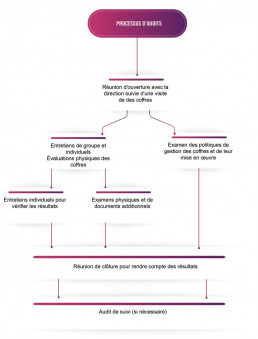 Processus d'audits VeraOne